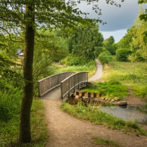 Jernalderlandsbyen