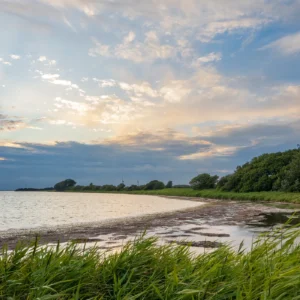 Skovballe Havn